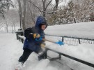 雪はボクにまかせて！　Central Park