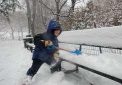 雪はボクにまかせて！　Central Park
